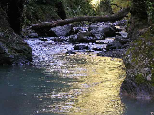 NZ leden-unor 2006 237.jpg